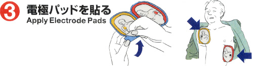 aed03.jpg