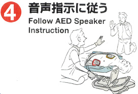 aed04.jpg