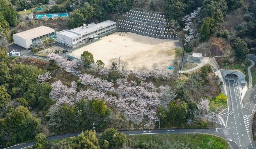 TKG-4.jpg