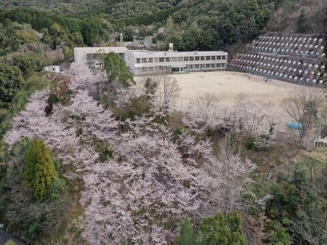 takagi1