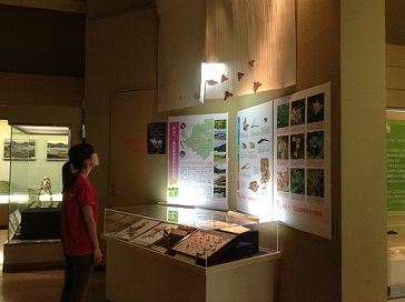 自然博物館展示会