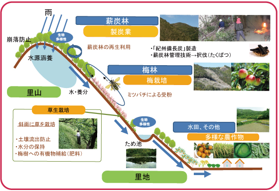概要