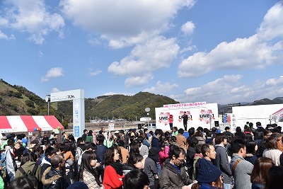 UME-1甲子園19